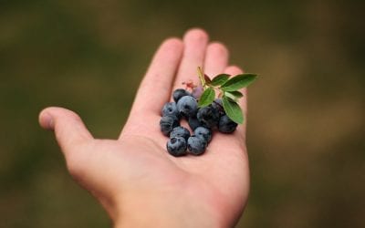 The Chore of Cooking–Whole Food Prep